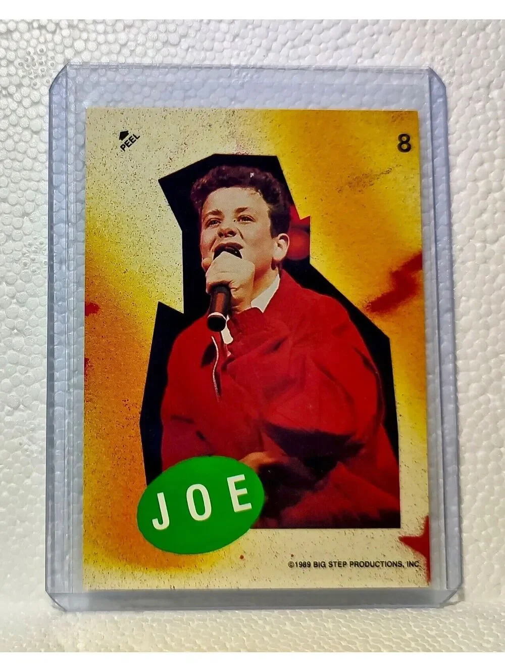Joe 1989 New Kids on the Block #8 Sticker Trading Card